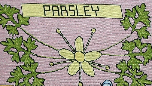 tapestry photo 1586 parsley flower