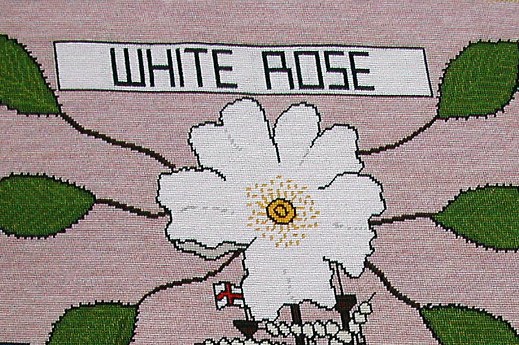 tapestry photo 1605 White Rose flower