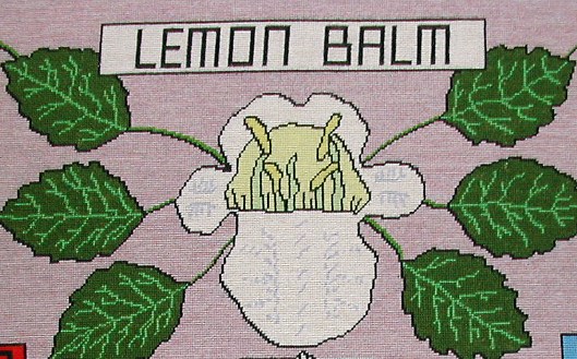 tapestry photo 1606 Lemon Balm flower