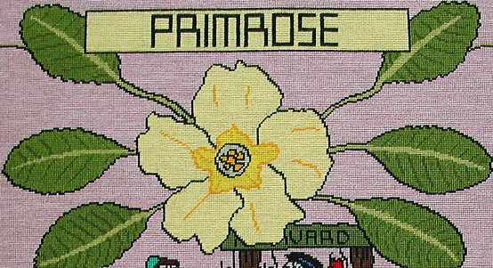 tapestry photo 1607 Primrose flower
