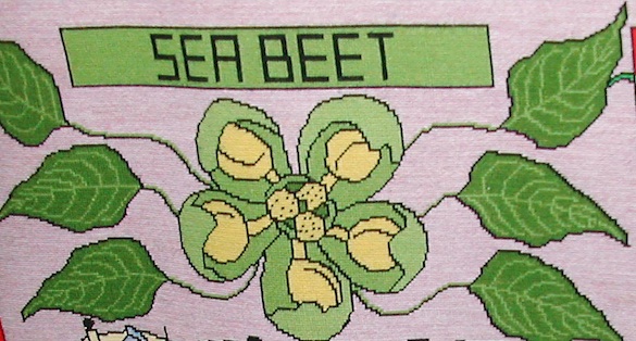 1628-34seabeetflowersmaller.jpg