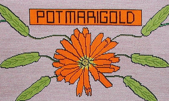 1642flowermarigoldsmaller.jpg